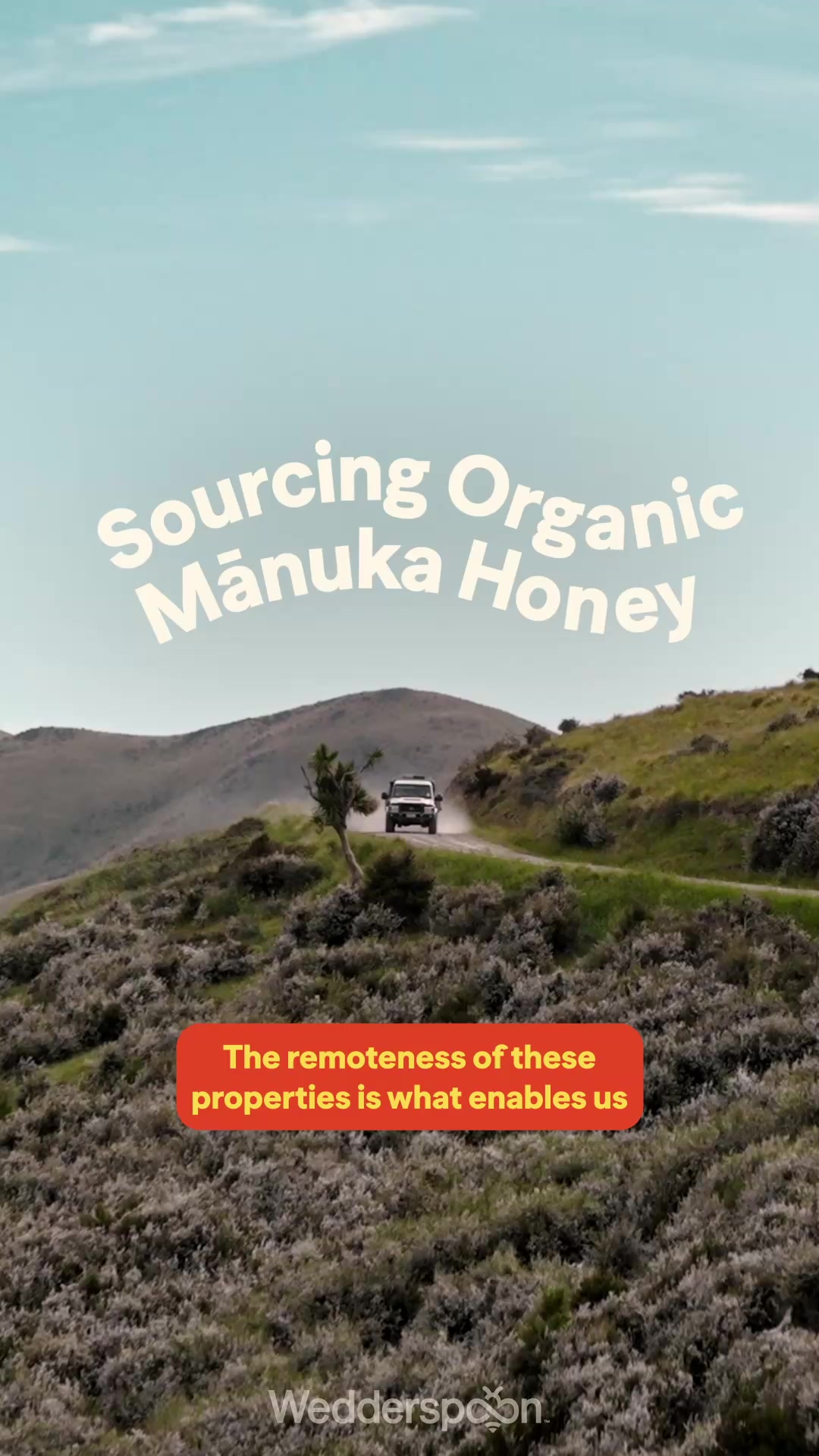Wedderspoon ad: The road into the hills where the hives are.